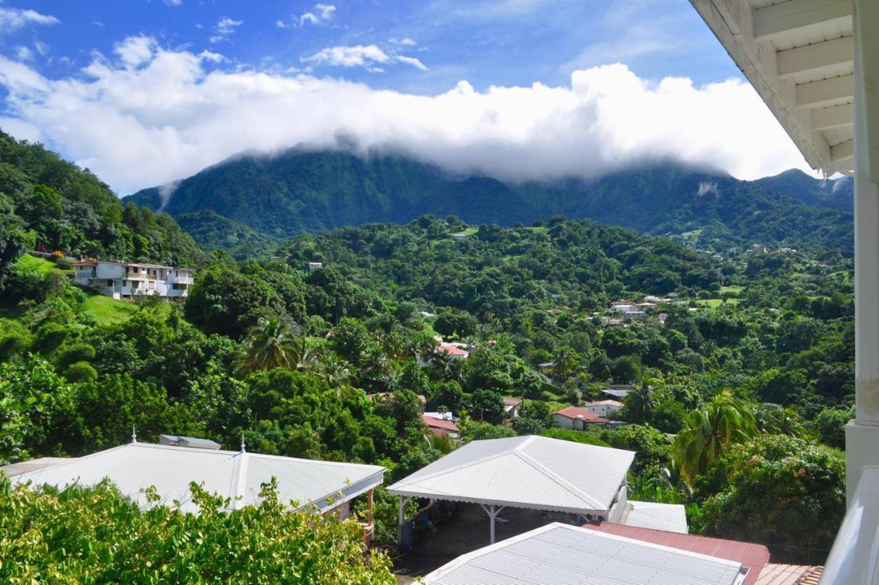 Le Colibri Vert Le Morne-Vert ภายนอก รูปภาพ